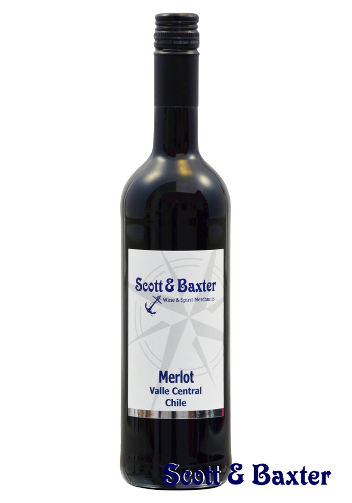 Scott & Baxter Wine and Spirit Merchants Rotwein Central Valley Chile  Merlot trocken 0,75l | Simon Brown